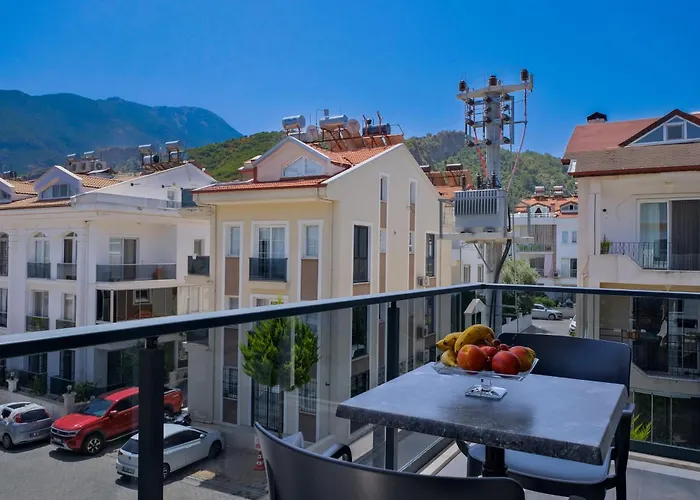 Light * 费特希耶